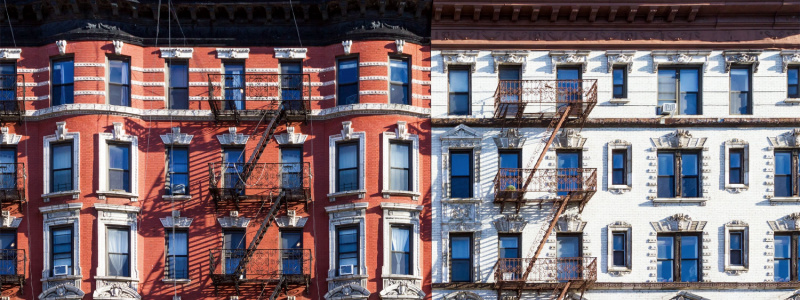 NYC Landlord's Guide to Pest Management