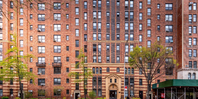 Apartment Building Pest Management in NYC