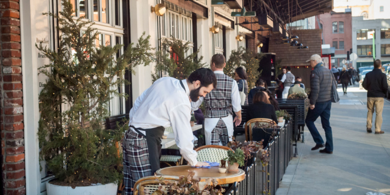 Cockroach Problems in NYC Restaurants: The Premier Solution for a Pristine Dining Experience